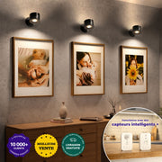 Blanc / Pack 1 lampe